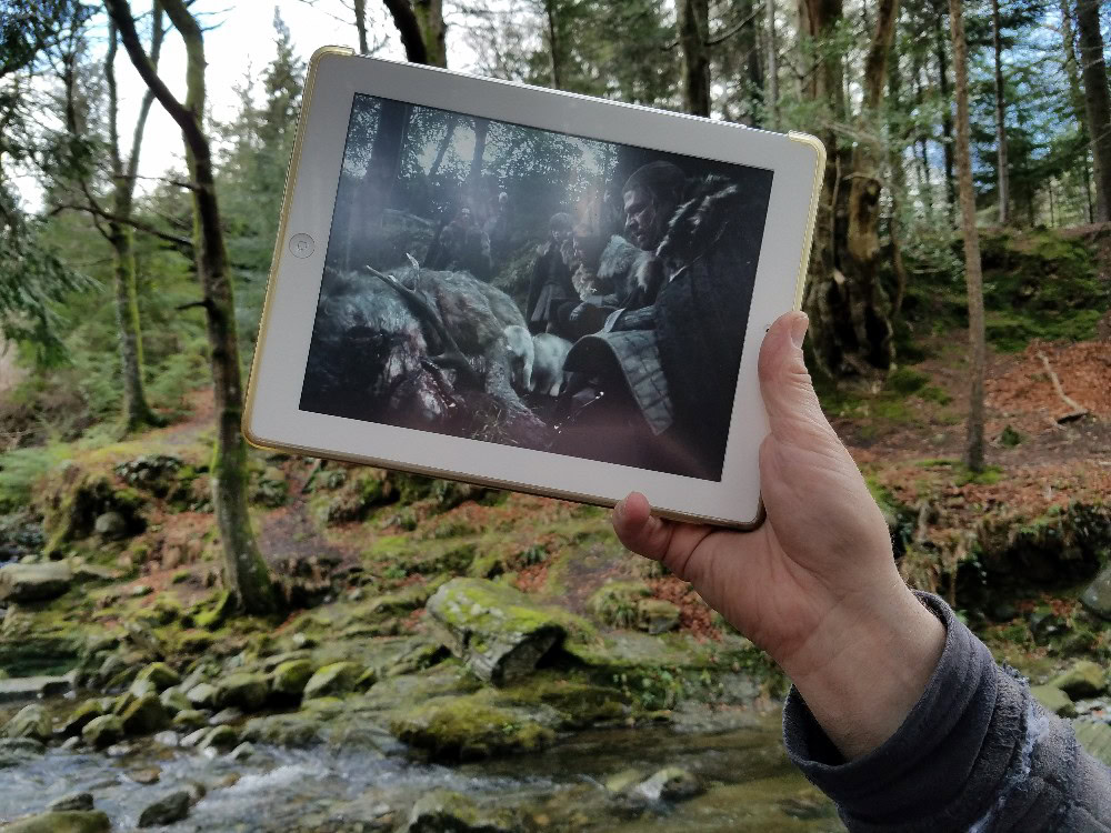 Game of thrones filming locations in northern ireland, tollymore forest