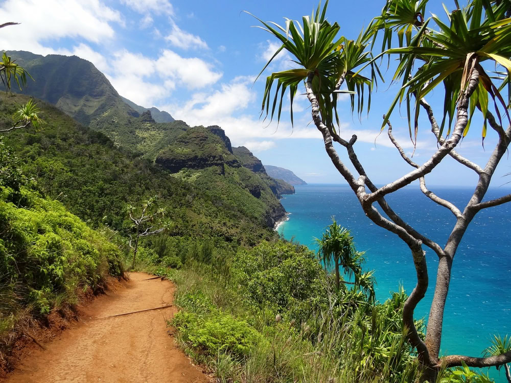 Jurassic Park in Hawaii, Kauai