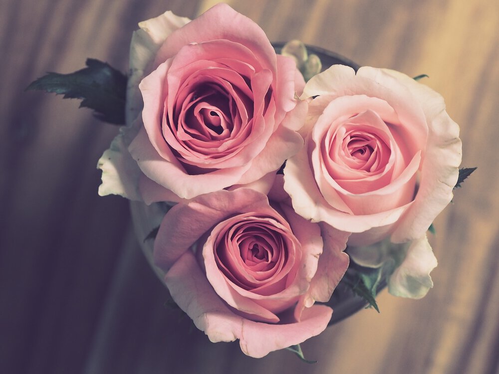 elegant guest room, roses