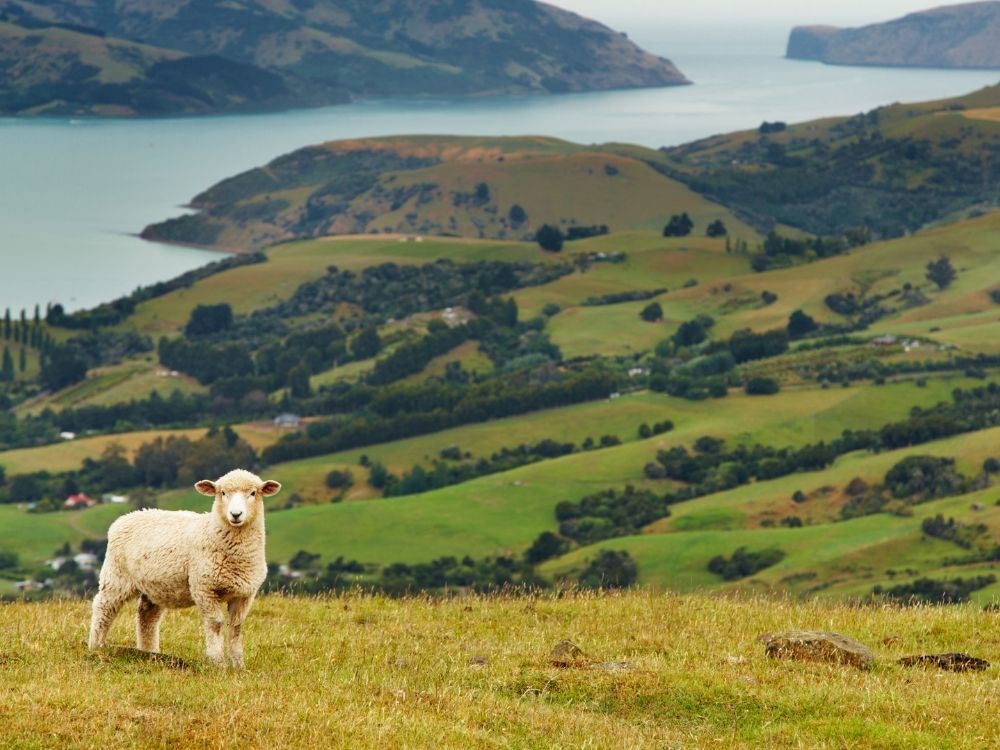top travel destinations, new zealand