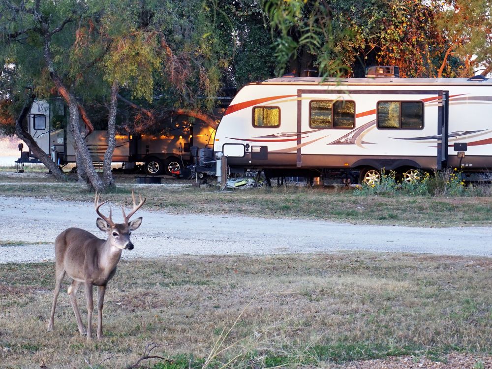 8 Helpful Adventure Essentials for the Road Trip Lover