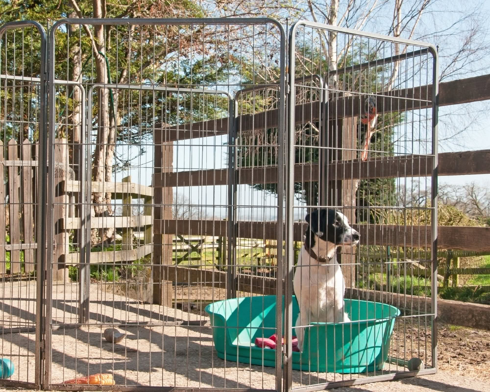 Dog pen, Dog Playpen