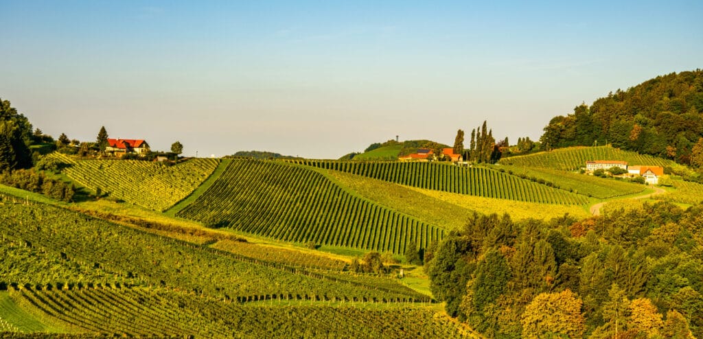 The Greatest Wine Regions Of The World 6 Austria Vineyards Sulztal Wine Street Area South Styria , Wine Country. Tourist Destination