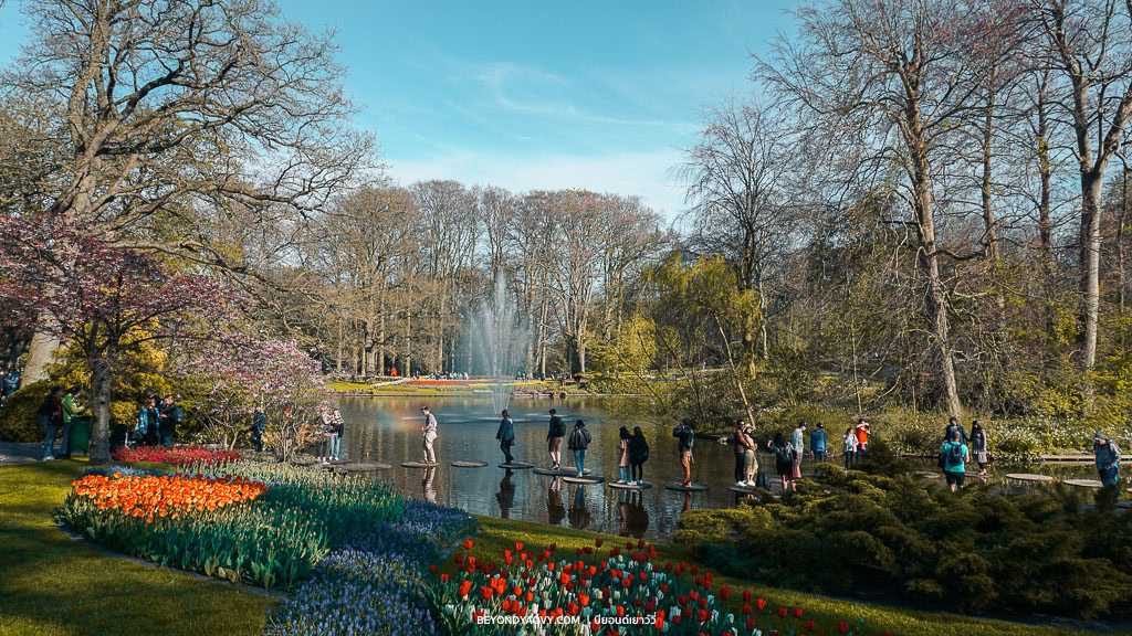 Rich results on Google's SERP when searching for ‘สวนดอกทิวลิปเคอเคนฮอฟ’, ‘Keukenhof’, ‘สวนเคอเคนฮอฟ’, ‘สวนดอกทิวลิป เนเธอร์แลนด์’, ‘เทศกาลดอกทิวลิป เนเธอร์แลนด์’, ‘ทุ่งดอกทิวลิปในเนเธอร์แลนด์’, ‘keukenhof สวนดอกทิวลิป เนเธอร์แลนด์’, ‘ดอกไม้ใน เนเธอร์แลนด์’, ‘สถานที่ท่องเที่ยว เนเธอร์แลนด์’, ‘เที่ยวเนเธอร์แลนด์’, ‘วางแผนเที่ยว เนเธอร์แลนด์’, ‘เนเธอร์แลนด์ เที่ยวเอง’ and ‘ที่เที่ยว เนเธอร์แลนด์ ธรรมชาติ’