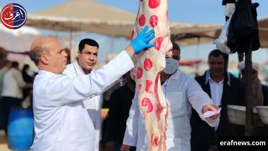 أسعار اللحوم والأضاحي اليوم