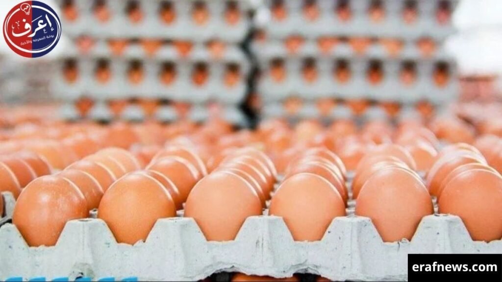 أسعار البيض اليوم