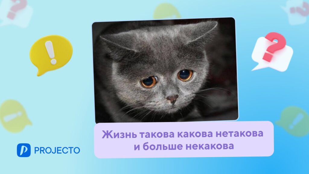 Мотивирующие цитаты