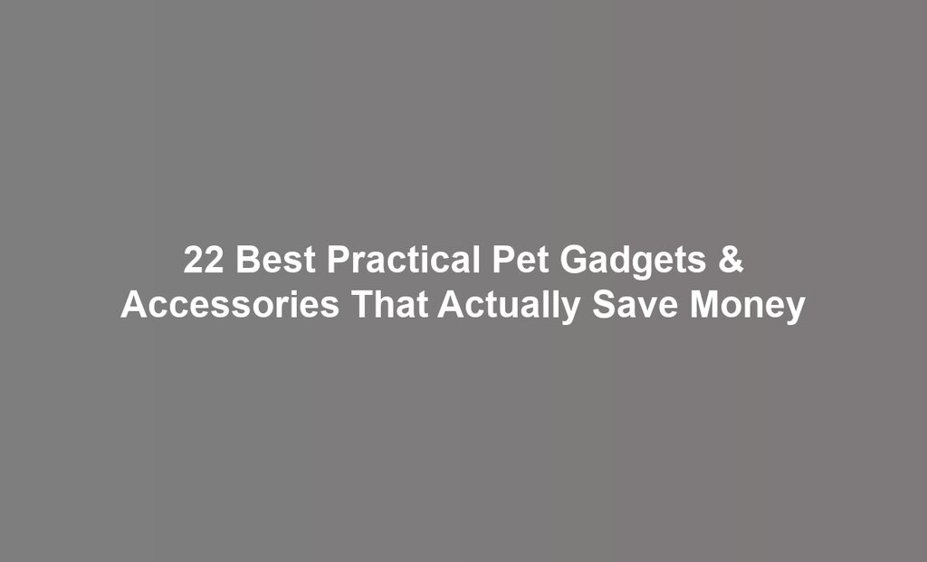 22 Best Practical Pet Gadgets & Accessories That Actually Save Money