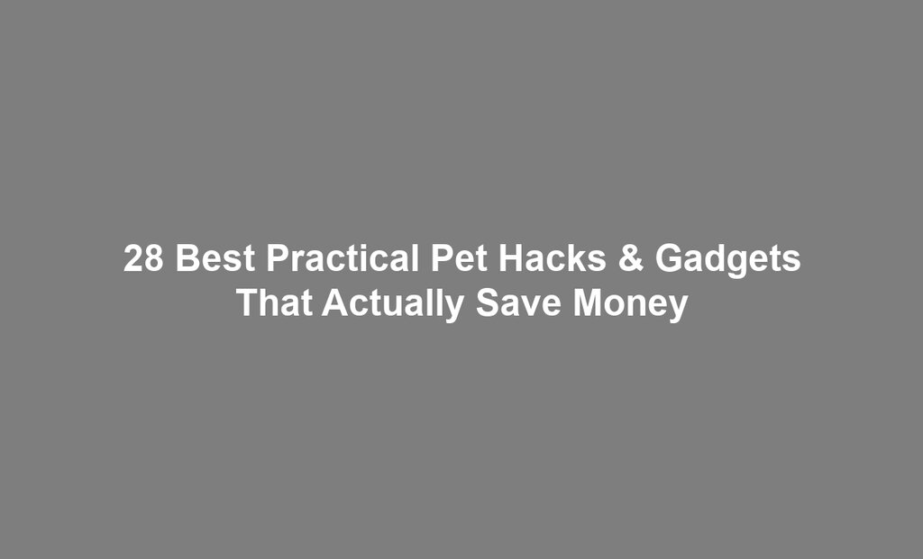 28 Best Practical Pet Hacks & Gadgets That Actually Save Money