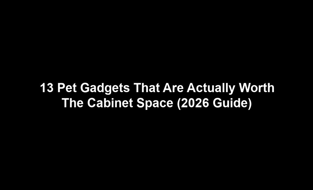 13 Pet Gadgets That Are Actually Worth The Cabinet Space (2026 Guide)
