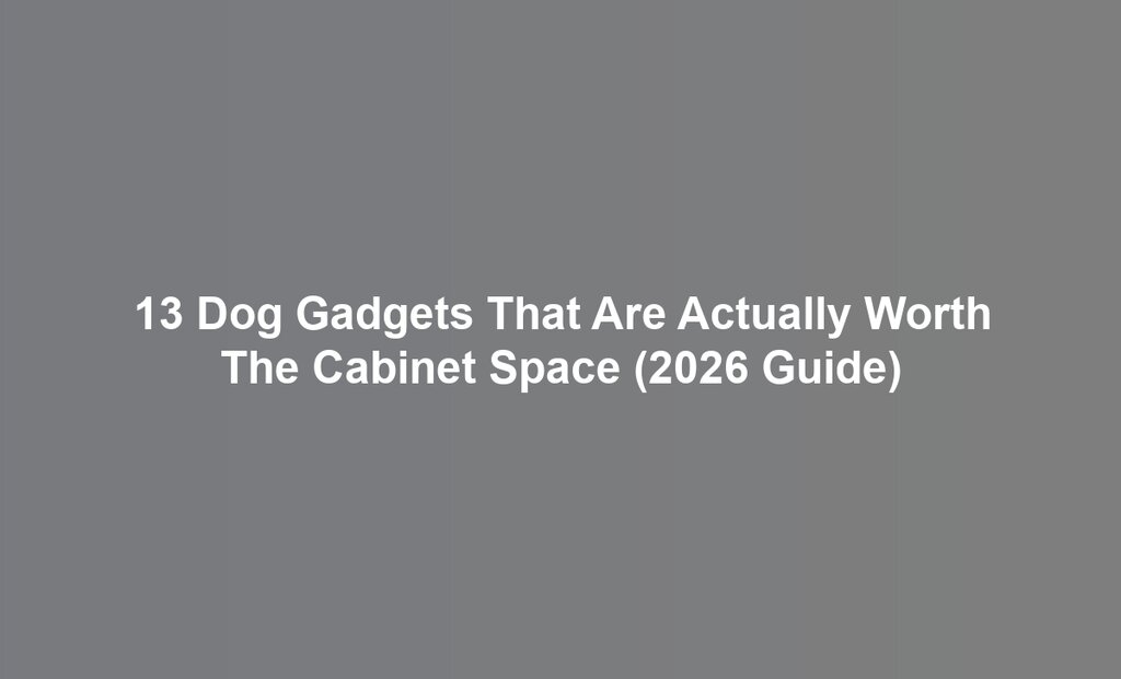13 Dog Gadgets That Are Actually Worth The Cabinet Space (2026 Guide)