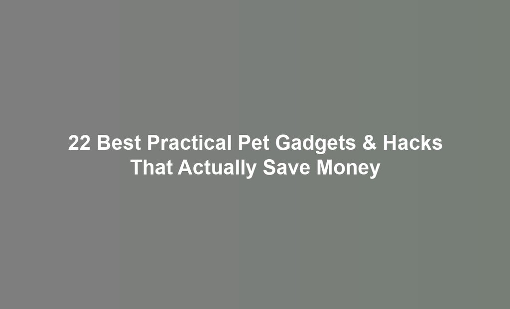 22 Best Practical Pet Gadgets & Hacks That Actually Save Money
