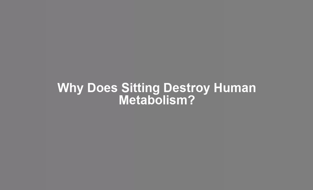 Why Does Sitting Destroy Human Metabolism?