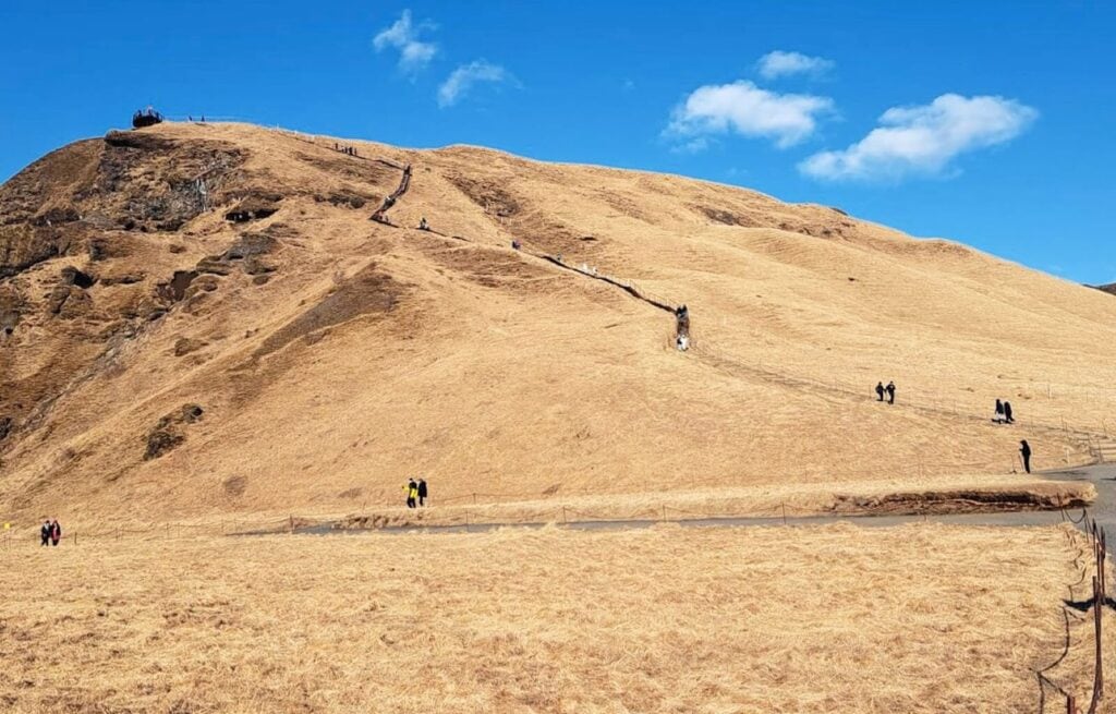 Skogafoss Waterfall in Winter Our Top