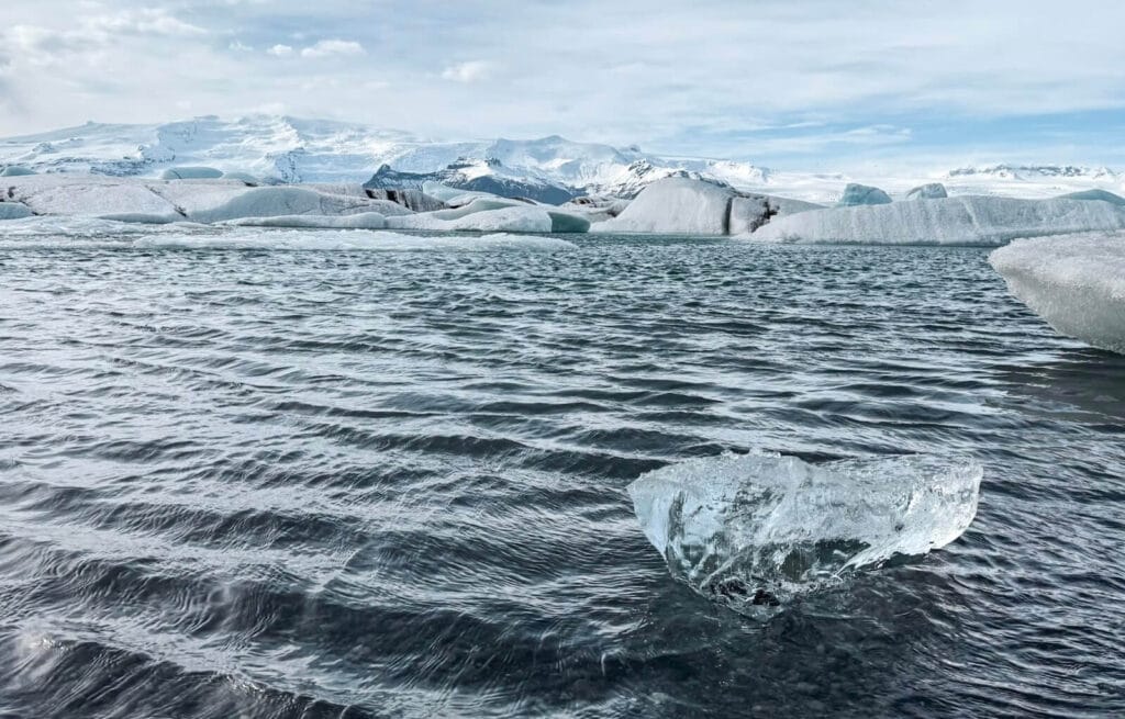 Icebergs floating in dark Arctic waters with snow-covered mountains in the background.