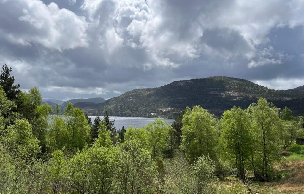 The views over the fjords