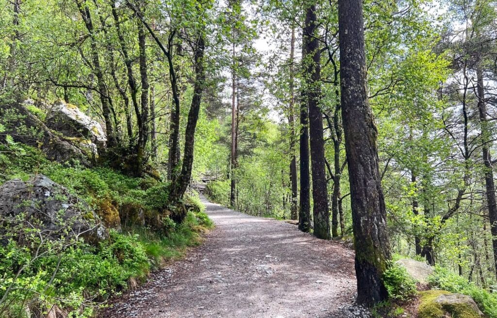 The wooded start of the hiking trail