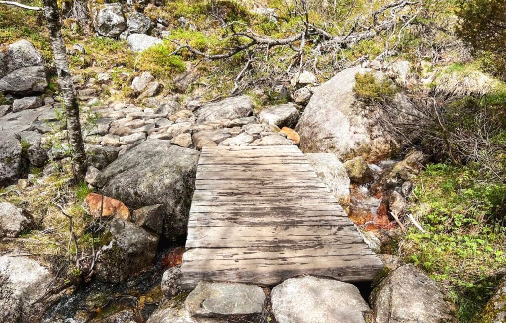 One of the wooden bridges