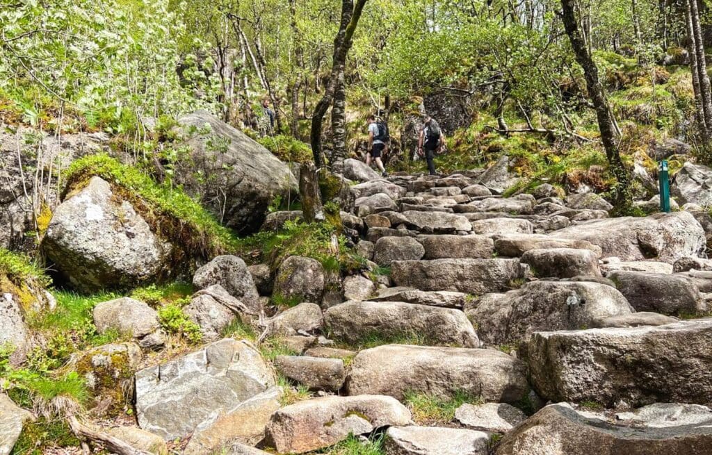 The stone steps leading to the top or Preikestolen