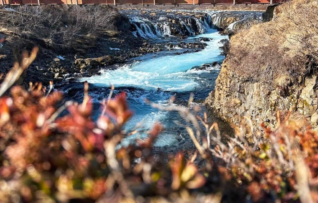 Flowing water over rocks with autumnal plants in the foreground, part of Brúarfoss Waterfall in Iceland.