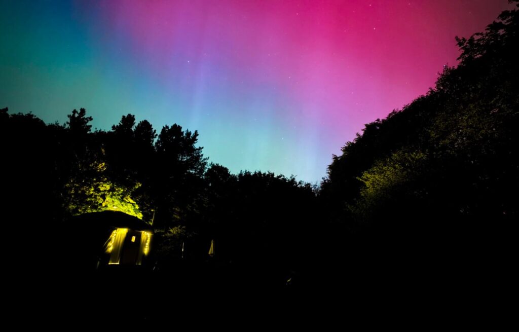 Vivid northern lights in pink, purple and green hues over a dark forested landscape at night.
