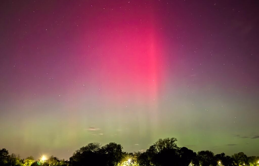Aurora borealis with pink and green hues over a treeline at night.