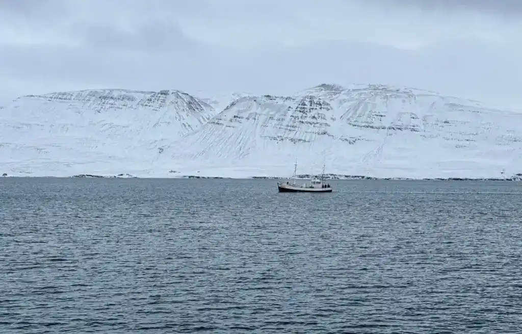 A boat sailing in calm waters with snow-covered mountains in the background under a cloudy sky.