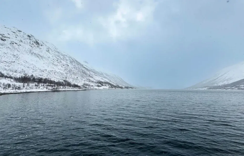 The first viewpoint during our fjord tour in Tromso - it was a little foggy, but still beautiful