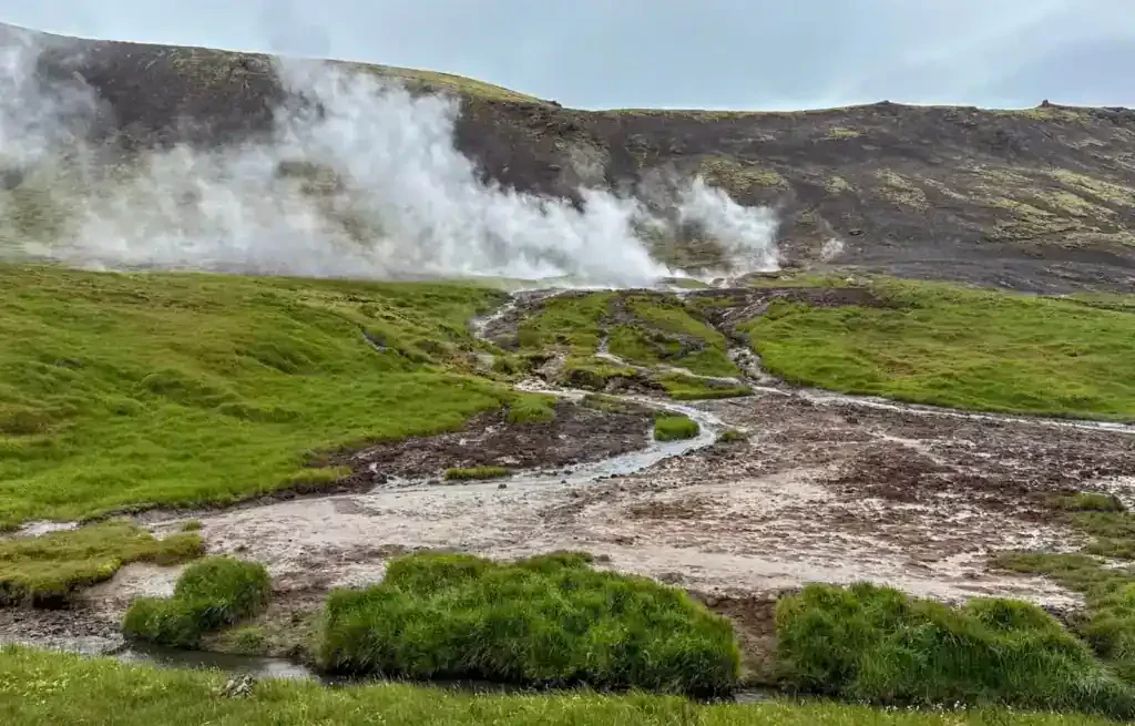 Steam rises from geothermal hot springs on a grassy hillside in Iceland.