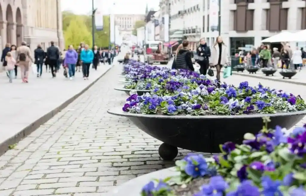 City street with large flower planters filled with purple and white flowers, busy pedestrians walking along the pavement.