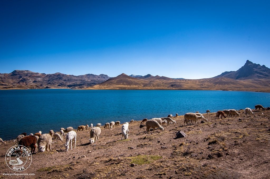 Laguna Orcococha