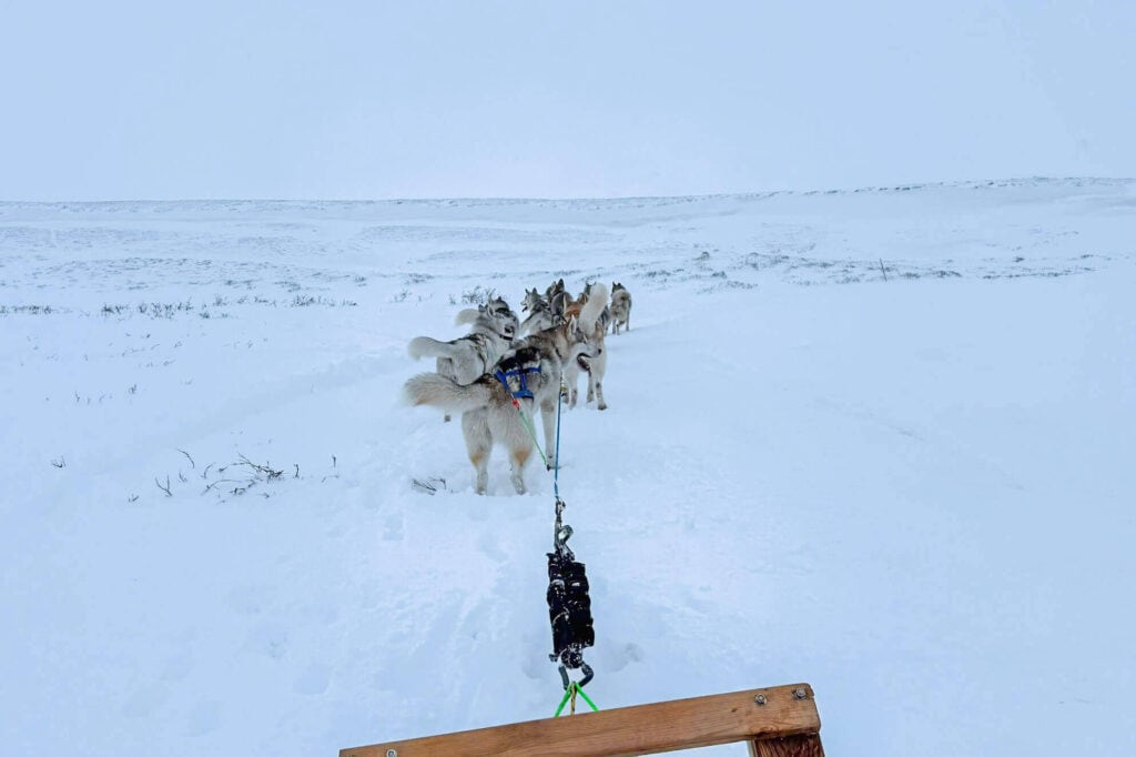 19-epic-things-to-do-in-troms-norway-complete-guide-under