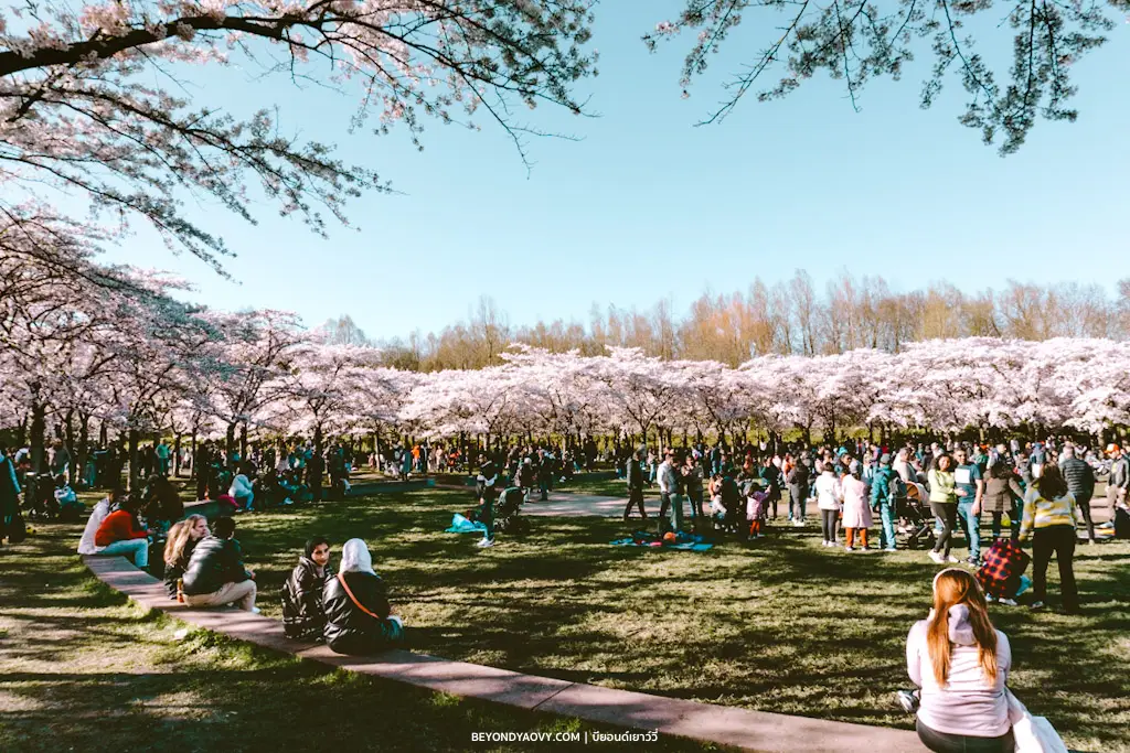 Rich results on Google's SERP when searching for ‘Amsterdam’, ‘เที่ยวอัมสเตอร์ดัม’, ‘อัมสเตอร์ดัม’, ‘สถานที่ท่องเที่ยวในอัมสเตอร์ดัม’, ‘เที่ยวเนเธอร์แลนด์’, ‘ประเทศเนเธอร์แลนด์’, ‘สถานที่ท่องเที่ยวในเนเธอร์แลนด์’, ‘Things to do in Amsterdam’, ‘เนเธอร์แลนด์ การเดินทาง’, ‘เนเธอร์แลนด์ ท่องเที่ยว’, ‘เนเธอร์แลนด์ สถานที่ท่องเที่ยว’, ‘อัมสเตอร์ดัม การเดินทาง’, ‘อัมสเตอร์ดัมท่องเที่ยว’, ‘อัมสเตอร์ดัม สถานที่ท่องเที่ยว’, ‘เที่ยวประเทศเนเธอร์แลนด์’, ‘การเดินทางท่องเที่ยวในประเทศเนเธอร์แลนด์’, ‘กิจกรรมน่าสนใจในอัมสเตอร์ดัม’, ‘พิพิธภัณฑ์ในอัมสเตอร์ดัม’, ‘พิพิธภัณฑ์ในเนเธอร์แลนด์’, ‘วางแผนเที่ยวเนเธอร์แลนด์ด้วยตัวเอง’ and ‘วางแผนเที่ยวเนเธอร์แลนด์’