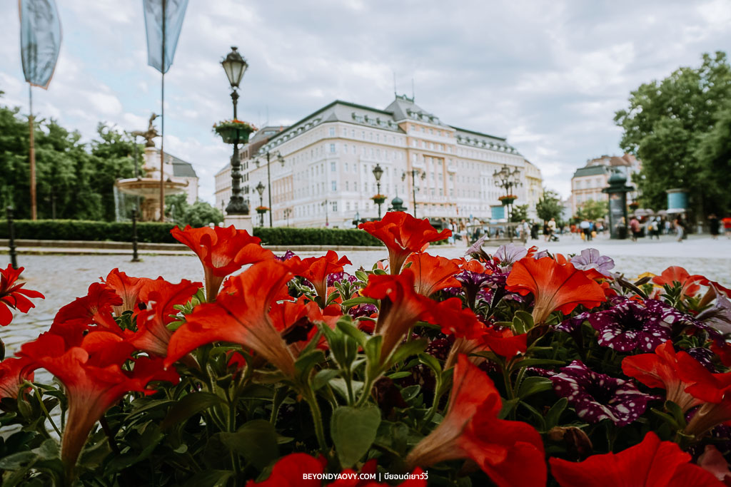 Rich results on Google's SERP when searching for ‘เที่ยวบราติสลาวา’, ‘ขับรถเที่ยวบราติสลาวา’, ‘ที่เที่ยวบราติสลาวา’, ‘เที่ยวบราติสลาวาด้วยตัวเอง’, ‘แพลนเที่ยวบราติสลาวา’, ‘วางแผนเที่ยวบราติสลาวา’, ‘รีวิวเที่ยวบราติสลาวา’, ‘เที่ยวเที่ยวสโลวาเกีย’, ‘ที่เที่ยวสโลวาเกีย’, ‘ขับรถเที่ยวยุโรป’, ‘ขับรถเที่ยวยุโรปด้วยตัวเอง’, and ‘รีวิวขับรถเที่ยวยุโรป’