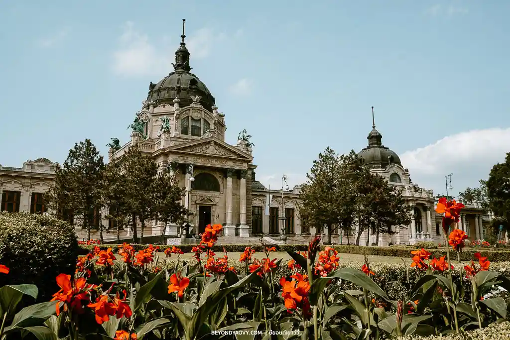 Rich results on Google's SERP when searching for ‘วางแผนเที่ยวบูดาเปสต์ (Budapest)’, ‘เที่ยวบูดาเปสต์’, ‘การเดินทางในบูดาเปสต์’, ‘ที่เที่ยวในบูดาเปสต์’, ‘สถานที่ท่องเที่ยวบูดาเปสต์’, ‘เที่ยวบูดาเปสต์ด้วยตัวเอง’, ‘เที่ยวฮังการีด้วยตัวเอง’, ‘แพลนเที่ยวบูดาเปสต์’, ‘วางแผนเที่ยวบูดาเปสต์’, ‘เที่ยวบูดาเปสต์’, and ‘เที่ยวฮังการี’