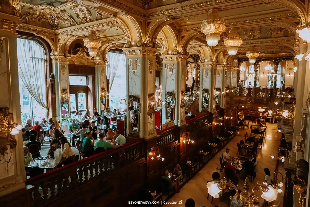 Rich results on Google's SERP when searching for ‘วางแผนเที่ยวบูดาเปสต์ (Budapest)’, ‘เที่ยวบูดาเปสต์’, ‘การเดินทางในบูดาเปสต์’, ‘ที่เที่ยวในบูดาเปสต์’, ‘สถานที่ท่องเที่ยวบูดาเปสต์’, ‘เที่ยวบูดาเปสต์ด้วยตัวเอง’, ‘เที่ยวฮังการีด้วยตัวเอง’, ‘แพลนเที่ยวบูดาเปสต์’, ‘วางแผนเที่ยวบูดาเปสต์’, ‘เที่ยวบูดาเปสต์’, and ‘เที่ยวฮังการี’