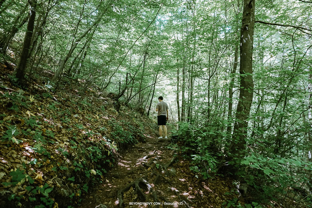 Rich results on Google's SERP when searching for ‘เที่ยวทะเลสาบเบลด (Lake Bled) สโลวีเนีย’, ‘เที่ยวทะเลสาบเบลด’, ‘Lake Bled’, ‘เที่ยว Lake Bled’, ‘ทะเลสาบเบลด’, ‘ทะเลสาบ bled สโลวีเนีย’, ‘ที่เที่ยวสโลวีเนีย’, ‘เที่ยวสโลวีเนีย’, ‘เที่ยวสโลวีเนียด้วยตัวเอง’, ‘แพลนเที่ยวสโลวีเนีย’, ‘วางแผนเที่ยวสโลวีเนีย’, ‘รีวิวเที่ยวสโลวีเนีย’, and ‘ขับรถเที่ยวสโลวีเนีย’