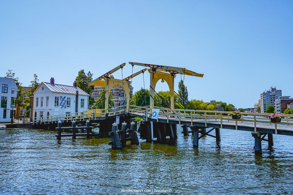 Rich results on Google's SERP when searching for ‘Leiden’, ‘เที่ยวไลเด้น’, ‘ไลเด้น’, ‘เมืองไลเด้น’, สถานที่ท่องเที่ยวในไลเด้น’, ‘Leiden’, ‘ที่เที่ยวเนเธอร์แลนด์’ and ‘เที่ยวเนเธอร์แลนด์’