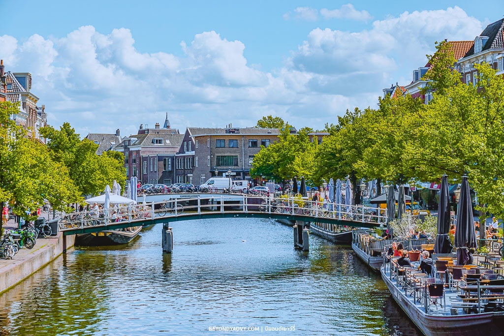 Rich results on Google's SERP when searching for ‘Leiden’, ‘เที่ยวไลเด้น’, ‘ไลเด้น’, ‘เมืองไลเด้น’, สถานที่ท่องเที่ยวในไลเด้น’, ‘Leiden’, ‘ที่เที่ยวเนเธอร์แลนด์’ and ‘เที่ยวเนเธอร์แลนด์’