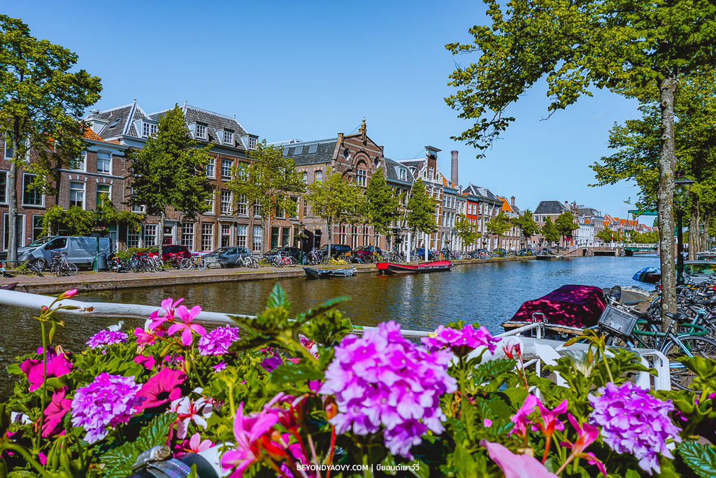 Rich results on Google's SERP when searching for ‘Leiden’, ‘เที่ยวไลเด้น’, ‘ไลเด้น’, ‘เมืองไลเด้น’, สถานที่ท่องเที่ยวในไลเด้น’, ‘Leiden’, ‘ที่เที่ยวเนเธอร์แลนด์’ and ‘เที่ยวเนเธอร์แลนด์’