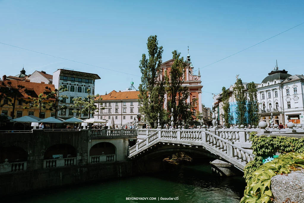 Rich results on Google's SERP when searching for ‘ขับรถเที่ยวยุโรป’, ‘ขับรถเที่ยวยุโรปด้วยตัวเอง’, ‘วางแผนขับรถเที่ยวยุโรป’, and ‘รีวิวขับรถเที่ยวยุโรป’