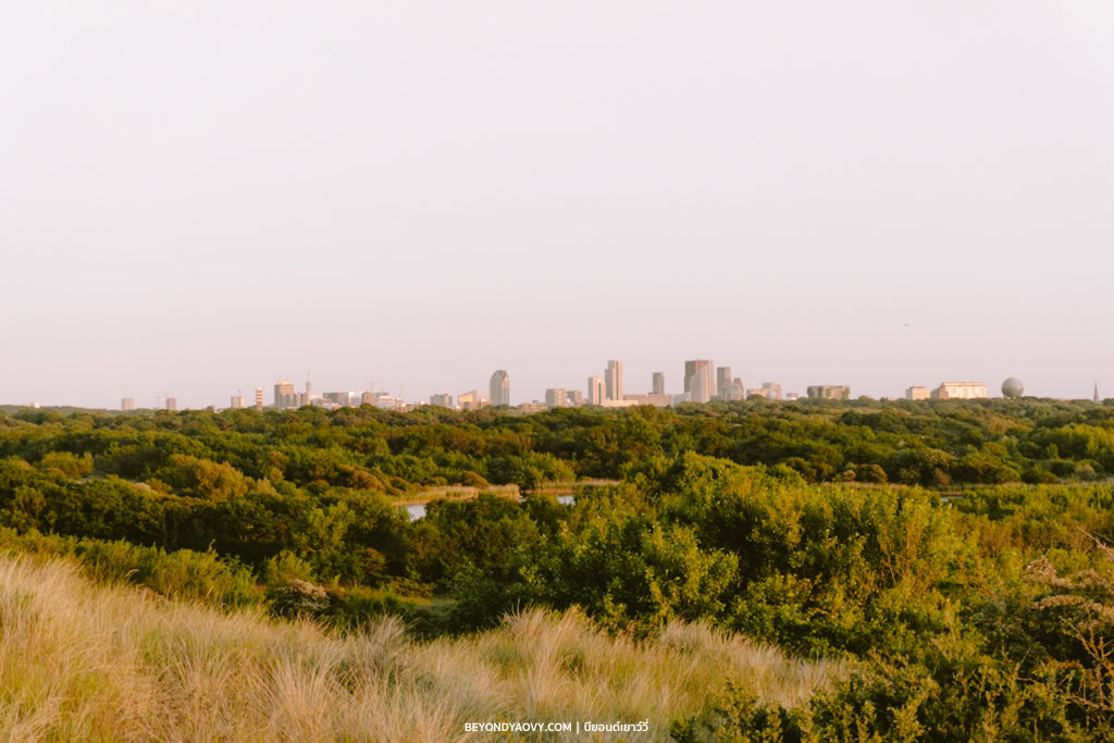 Rich results on Google's SERP when searching for ‘เที่ยวกรุงเฮก’, ‘The Hague’, ‘กรุงเฮก’, ‘เมืองกรุงเฮก’, ‘เมืองเดนฮาก’, ‘เดนฮาก’, ‘เที่ยวเดนฮาก’, ‘Den Haag’, ‘เดย์ทริปจากอัมสเตอร์ดัม’, ‘ที่เที่ยวเนเธอร์แลนด์’, ‘เมืองน่าเที่ยวเนเธอร์แลนด์’, ‘วางแผนเที่ยวเนเธอร์แลนด์’, ‘เที่ยวเนเธอร์แลนด์’, and ‘เที่ยวเนเธอร์แลนด์ด้วยตัวเอง’