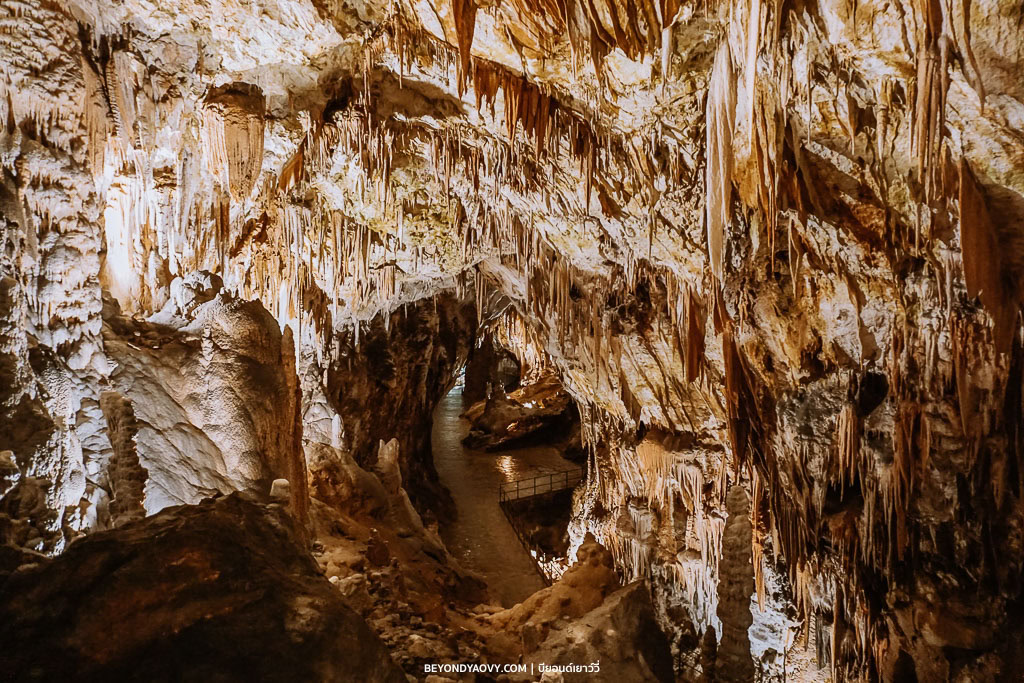 Rich results on Google's SERP when searching for ‘วางแผนเที่ยวลูบลิยานา (Ljubljana)’, ‘เที่ยวลูบลิยานา’, ‘ที่เที่ยวลูบลิยานา’, ‘สถานที่ท่องเที่ยวลูบลิยานา’, ‘เที่ยวลูบลิยานาด้วยตัวเอง’, ‘ที่เที่ยวสโลวีเนีย’, ‘เที่ยวสโลวีเนียด้วยตัวเอง’, ‘แพลนเที่ยวสโลวีเนีย’, ‘วางแผนเที่ยวสโลวีเนีย’, ‘เที่ยวสโลวีเนีย’, ‘รีวิวเที่ยวสโลวีเนีย’, and ‘ขับรถเที่ยวสโลวีเนีย’