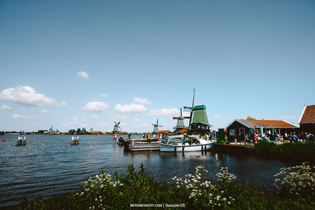 Rich results on Google's SERP when searching for ‘เที่ยวหมู่บ้านกังหันลมซานส์สคันส์’, ‘Zaanse Schans’, ‘หมู่บ้านกังหันลมซานส์สคันส์’, ‘หมู่บ้านซานส์สคันส์’, ‘ซานส์สคันส์’, ‘เที่ยวซานส์สคันส์’, ‘เดย์ทริปจากอัมสเตอร์ดัม’, ‘ที่เที่ยวเนเธอร์แลนด์’, ‘เมืองน่าเที่ยวเนเธอร์แลนด์’, ‘วางแผนเที่ยวเนเธอร์แลนด์’, ‘เที่ยวเนเธอร์แลนด์’, and ‘เที่ยวเนเธอร์แลนด์ด้วยตัวเอง’