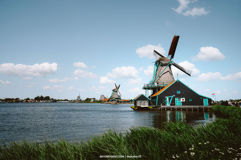 Rich results on Google's SERP when searching for ‘เที่ยวหมู่บ้านกังหันลมซานส์สคันส์’, ‘Zaanse Schans’, ‘หมู่บ้านกังหันลมซานส์สคันส์’, ‘หมู่บ้านซานส์สคันส์’, ‘ซานส์สคันส์’, ‘เที่ยวซานส์สคันส์’, ‘เดย์ทริปจากอัมสเตอร์ดัม’, ‘ที่เที่ยวเนเธอร์แลนด์’, ‘เมืองน่าเที่ยวเนเธอร์แลนด์’, ‘วางแผนเที่ยวเนเธอร์แลนด์’, ‘เที่ยวเนเธอร์แลนด์’, and ‘เที่ยวเนเธอร์แลนด์ด้วยตัวเอง’