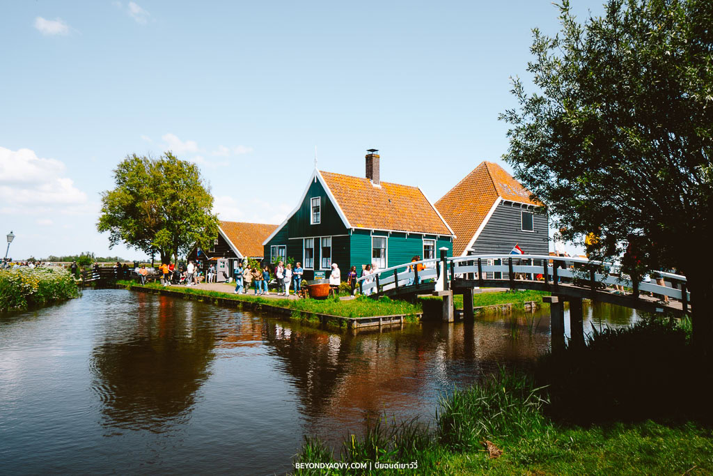 Rich results on Google's SERP when searching for ‘เที่ยวหมู่บ้านกังหันลมซานส์สคันส์’, ‘Zaanse Schans’, ‘หมู่บ้านกังหันลมซานส์สคันส์’, ‘หมู่บ้านซานส์สคันส์’, ‘ซานส์สคันส์’, ‘เที่ยวซานส์สคันส์’, ‘เดย์ทริปจากอัมสเตอร์ดัม’, ‘ที่เที่ยวเนเธอร์แลนด์’, ‘เมืองน่าเที่ยวเนเธอร์แลนด์’, ‘วางแผนเที่ยวเนเธอร์แลนด์’, ‘เที่ยวเนเธอร์แลนด์’, and ‘เที่ยวเนเธอร์แลนด์ด้วยตัวเอง’