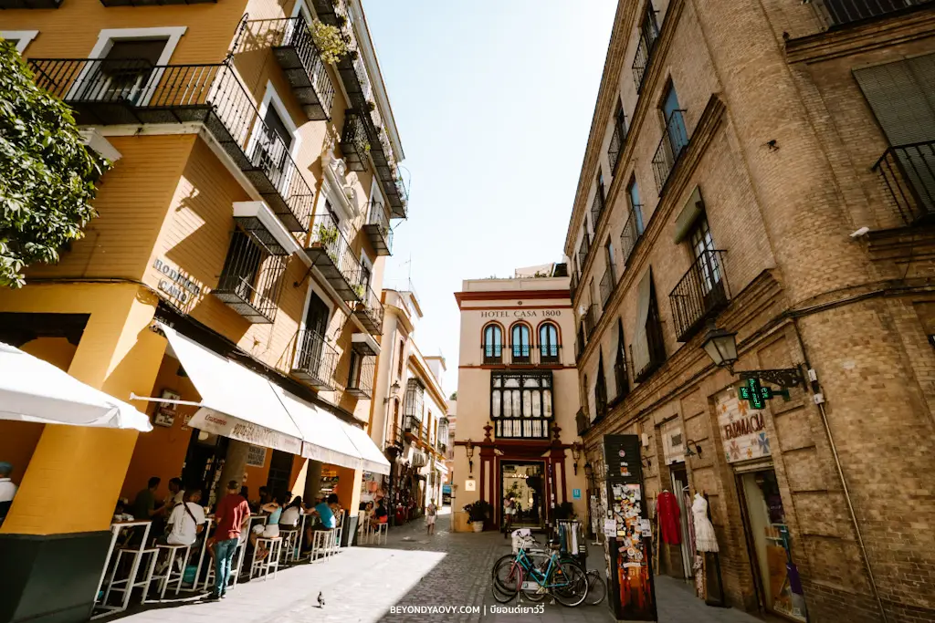 Rich results on Google's SERP when searching for ‘เที่ยวเซวิญ่า’, ‘เซวิญ่า’, ‘เที่ยวเซบียา’, ‘เซบียา’, ‘เมืองเซบีย่าสเปน’, ‘เที่ยว Seville’, ‘เมืองสเปน’, ‘เที่ยวสเปนด้วยตัวเอง’, ‘เที่ยวเองสเปน’, ‘เที่ยวสเปน’, ‘ขับรถเที่ยวสเปน’, ‘ที่เที่ยวสเปน’, ‘วางแผนเที่ยวสเปน’, ‘วางแผนเที่ยวด้วยตัวเอง’