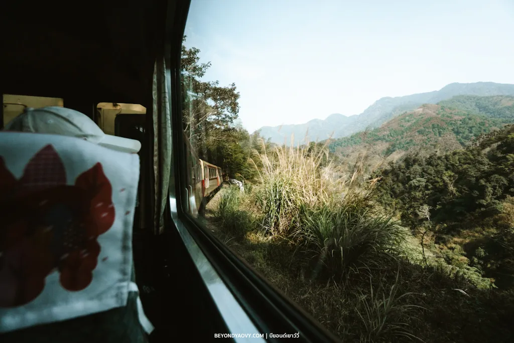 Rich results on Google's SERP when searching for 'เที่ยวไต้หวันด้วยตัวเอง', 'วิธีเดินทางไปอาลีซาน', 'เจี้ยอี้ไปอาลีซาน', 'เฟิ่นฉี่หูไปเจี้ยอี้', 'Alishan Express Ticket', 'Alishan Forest Railway’, and 'รถไฟสายป่าอาลีซาน'