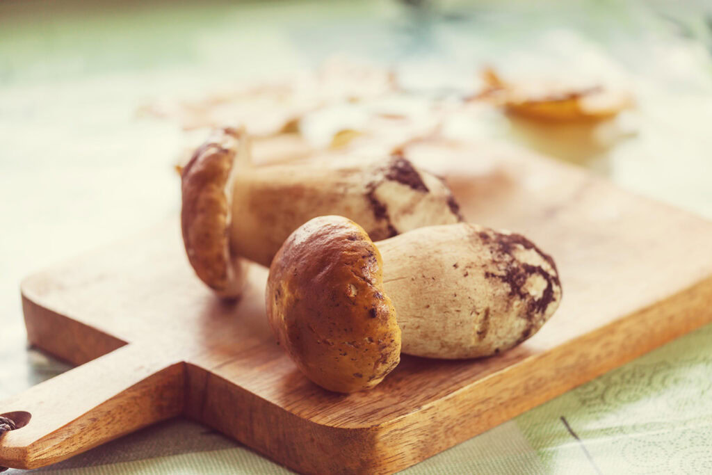 Mushrooms: Maybe Not Magical, But Possibly Medicinal Mushrooms: Maybe Not Magical, But Possibly Medicinal