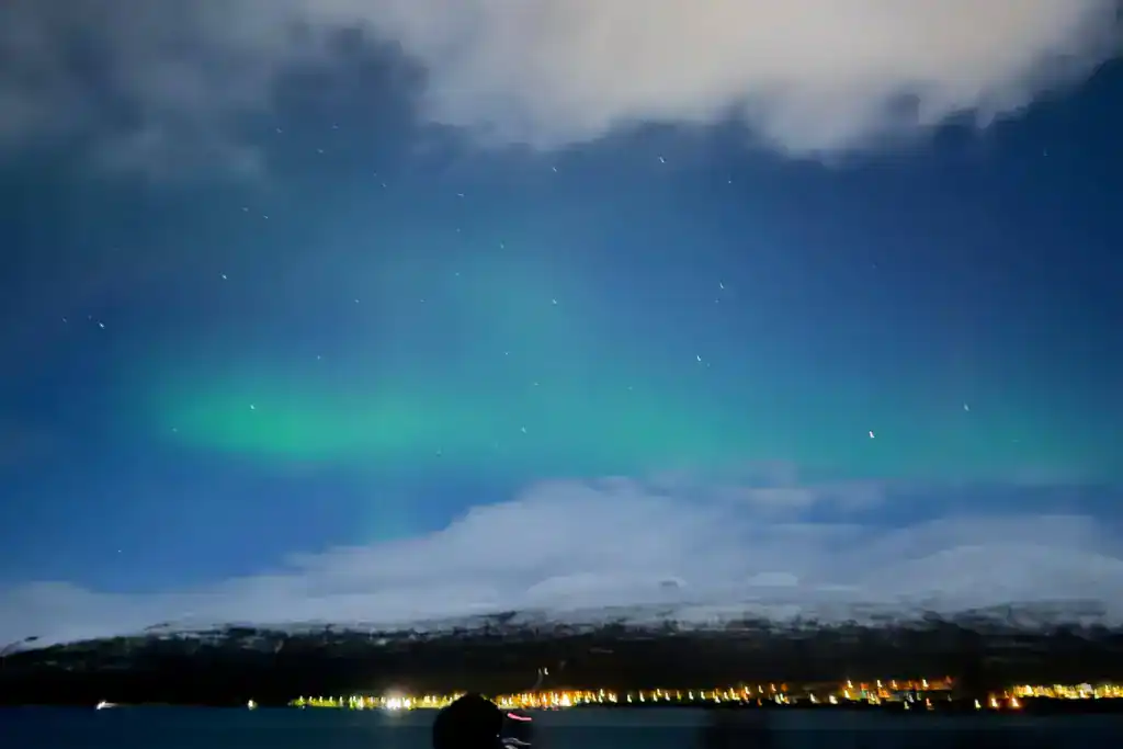 Northern Lights glow green over a dark landscape with a body of water and distant city lights.